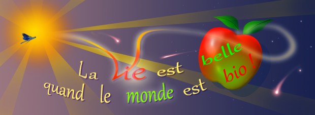 La vie est belle étolies filantes